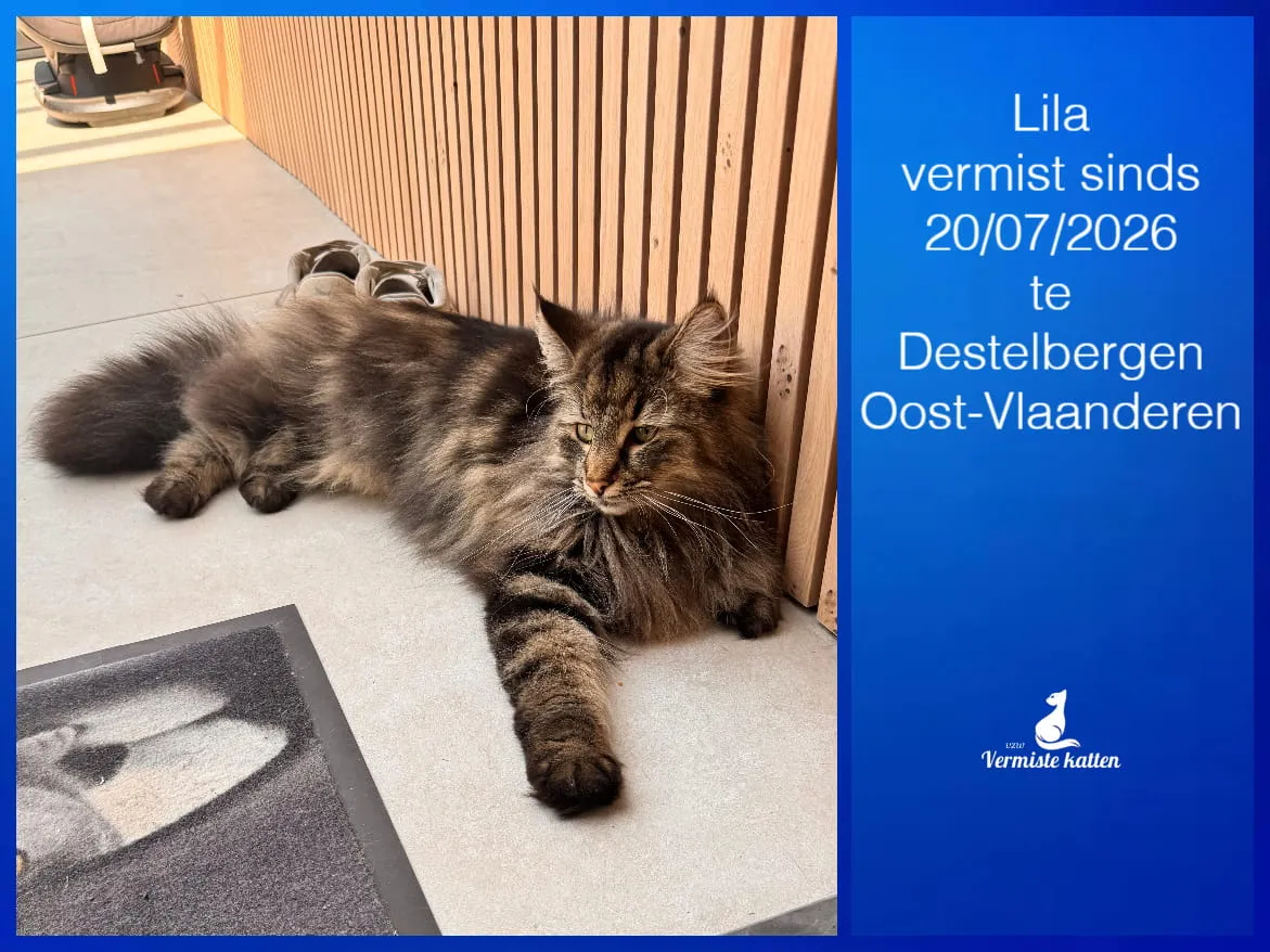 Lila