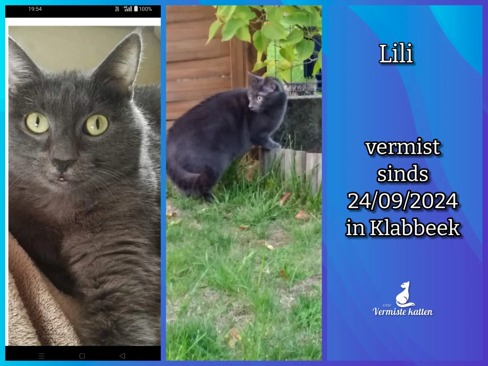 Lili
