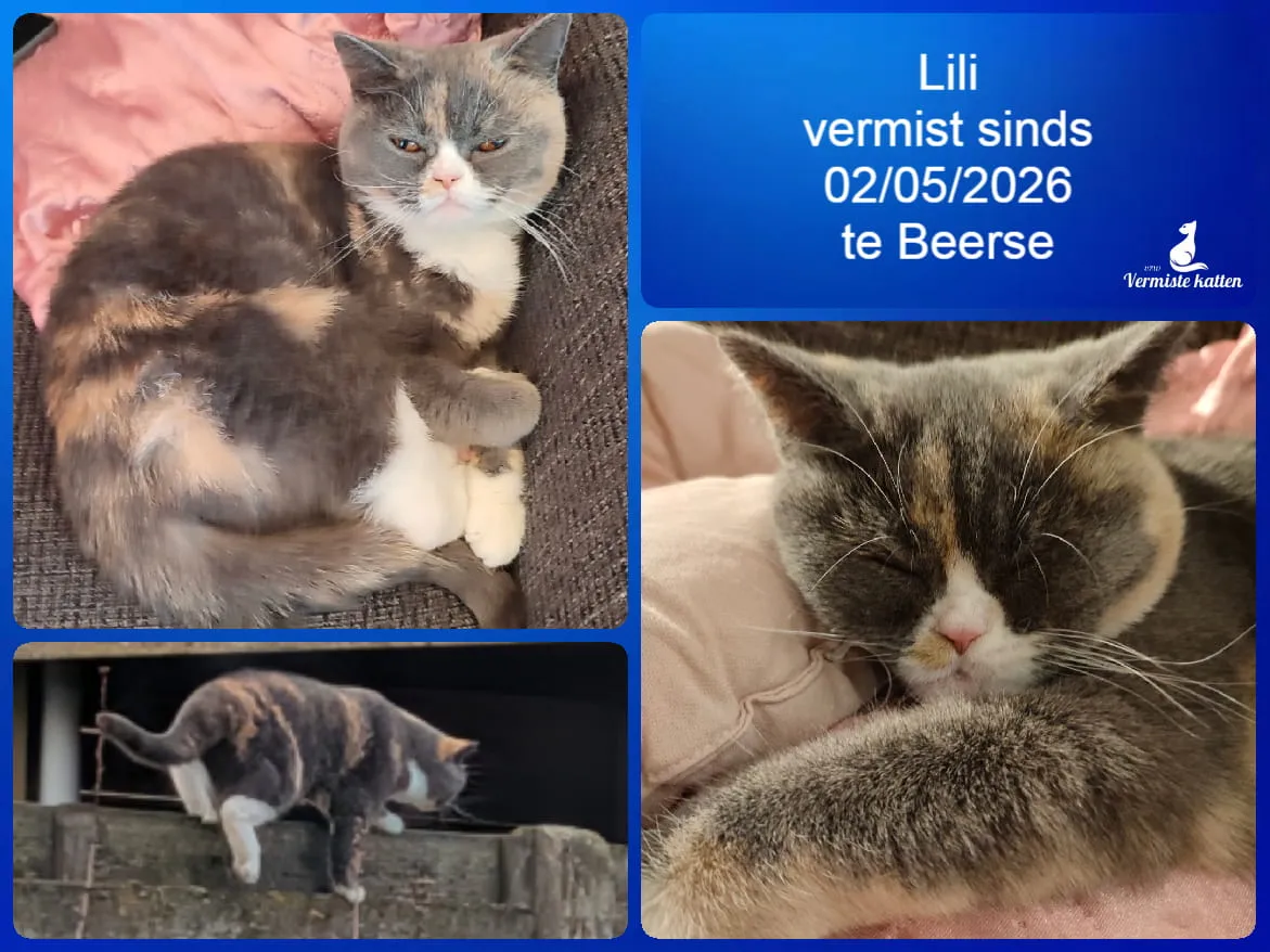 Lili