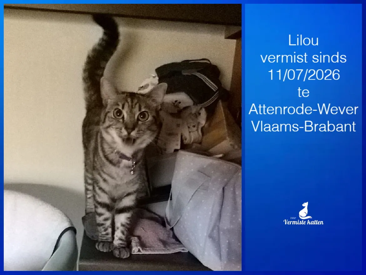 Lilou
