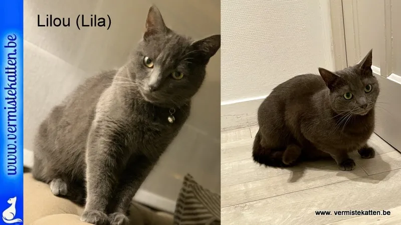 Lilou op chip sta er lila