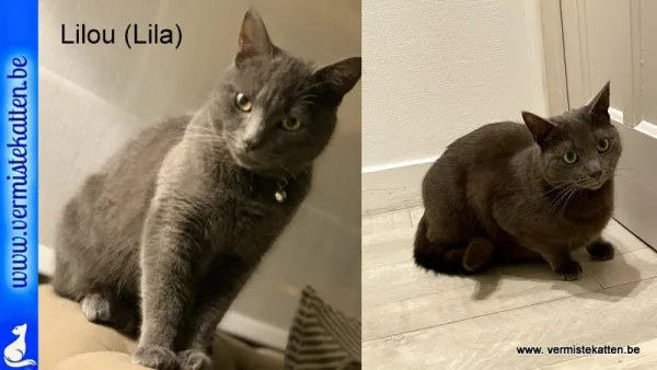 Lilou op chip sta er lila