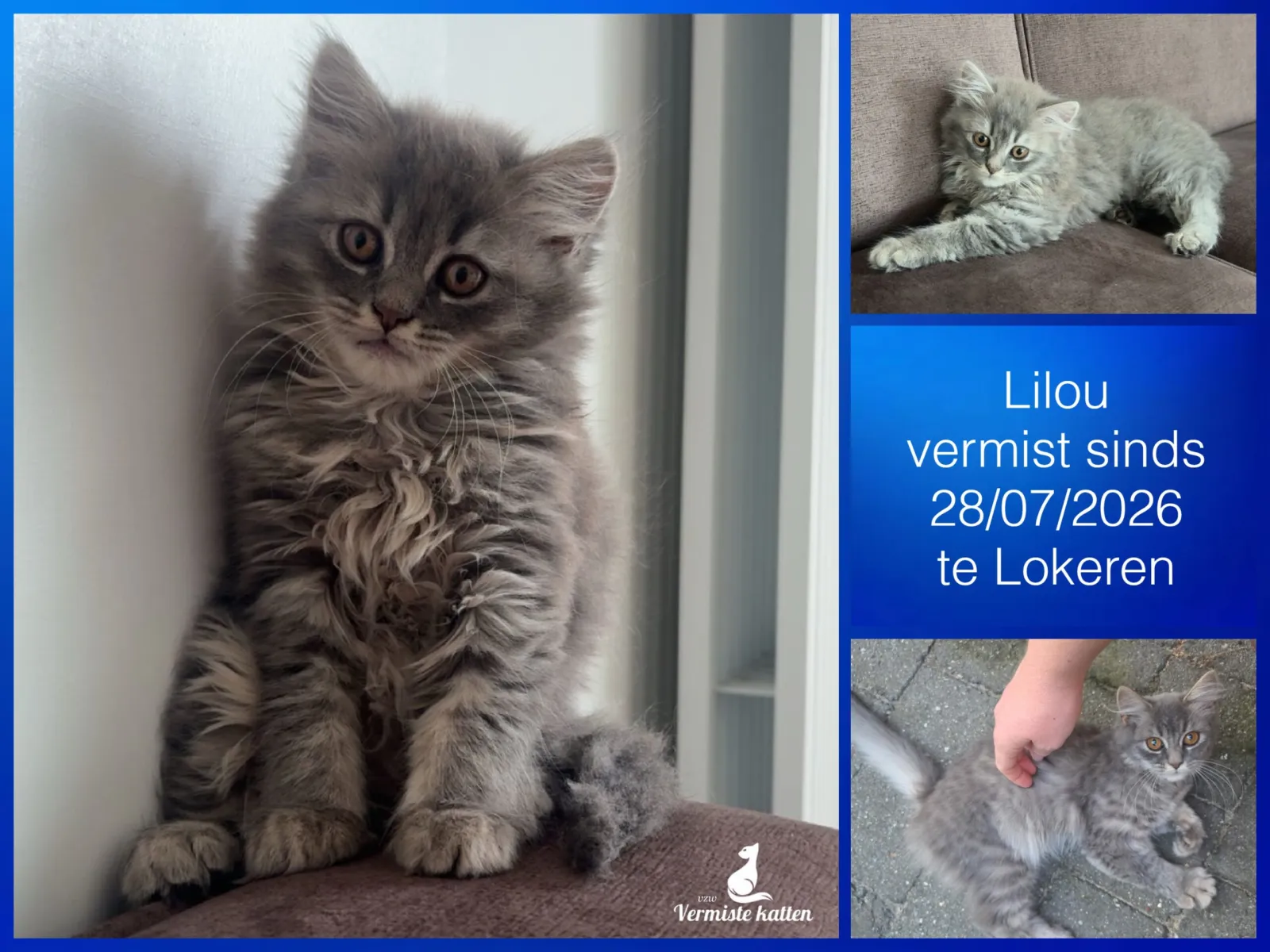 Lilou