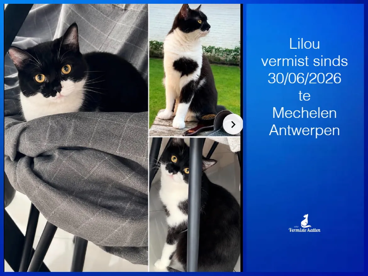 Lilou