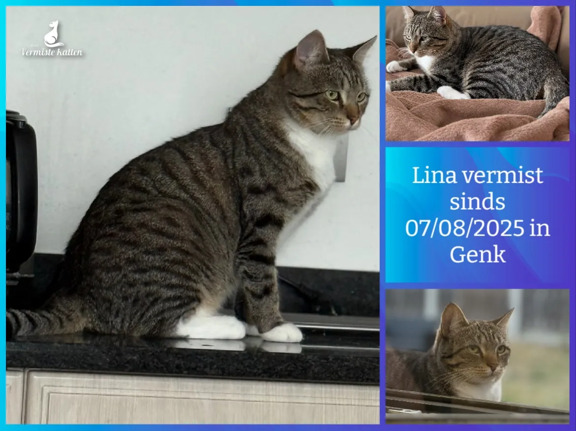 Lina