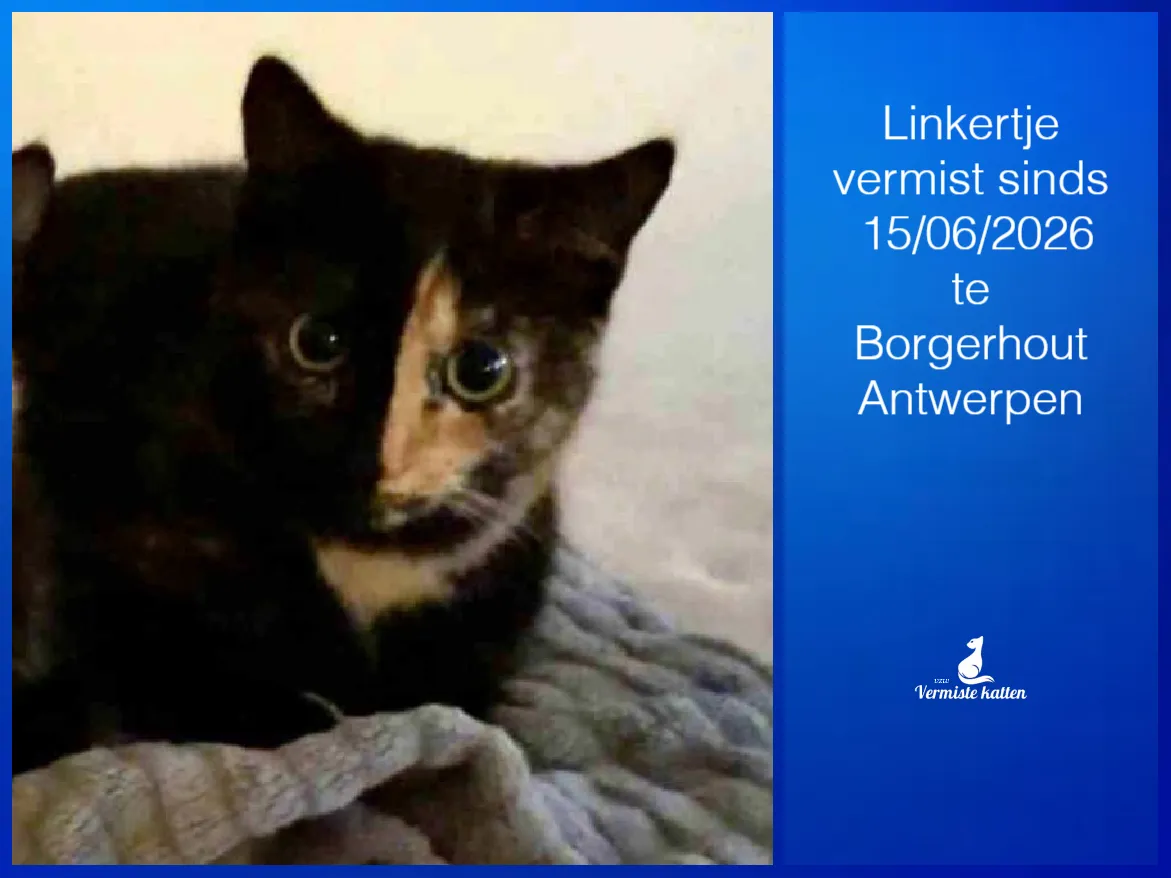 Linkertje