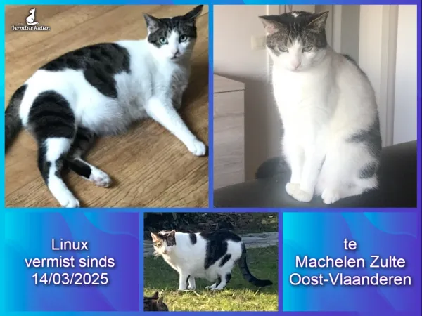 Linux