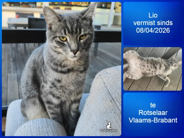 LIO