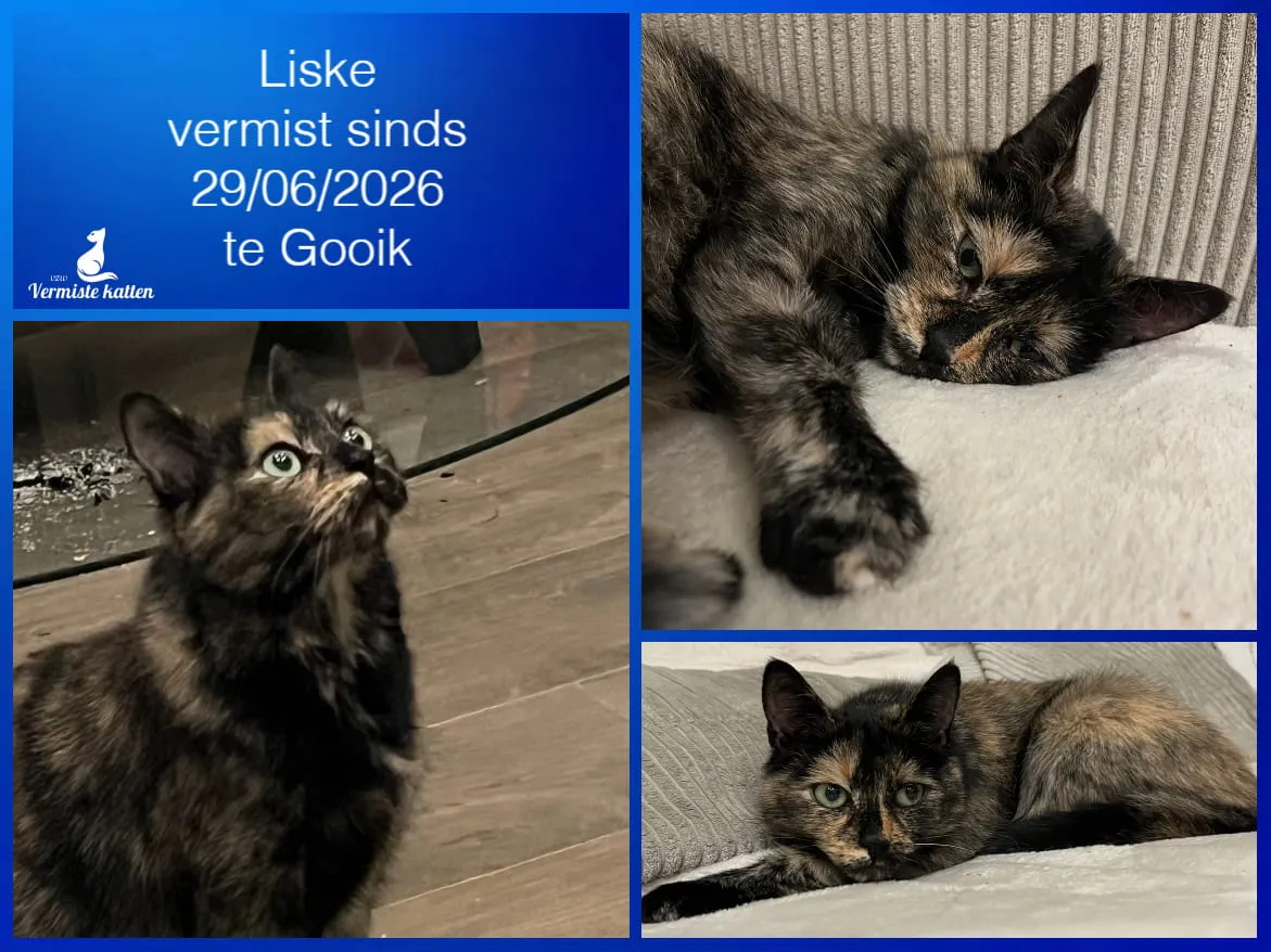 Liske