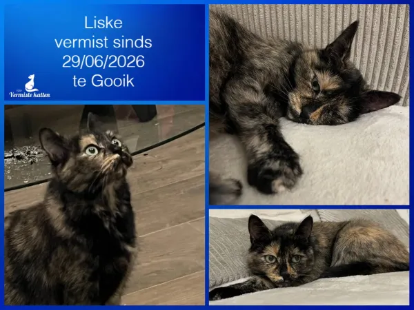 Liske
