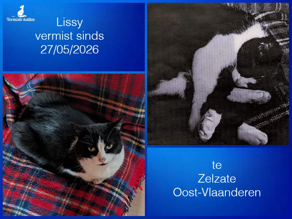 Lissy