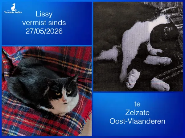 Lissy