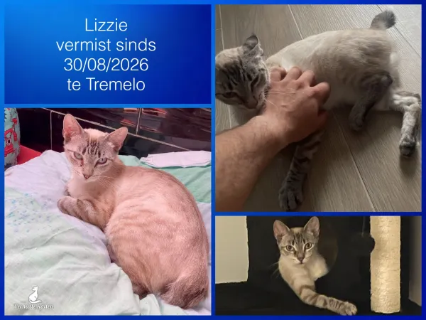 Lizzie