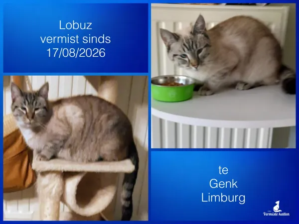 Lobuz