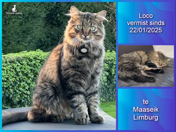 Loco