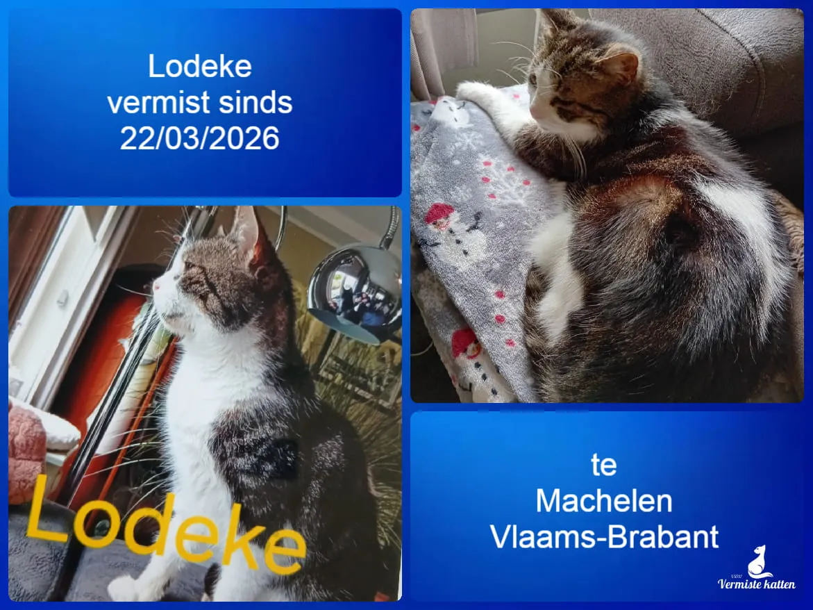 Lodeke