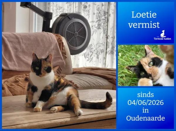 Loetie
