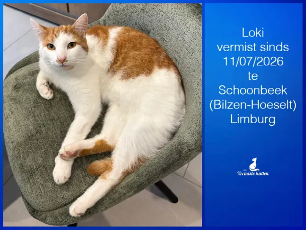 Loki
