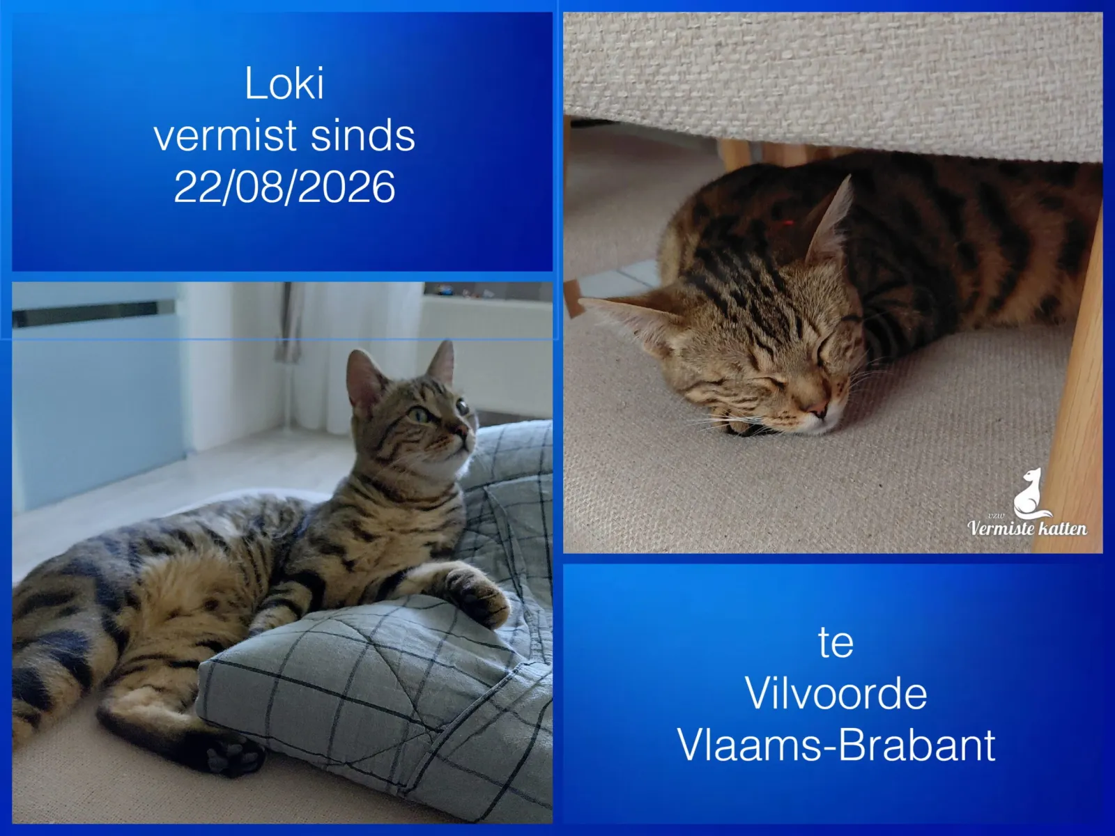 Loki