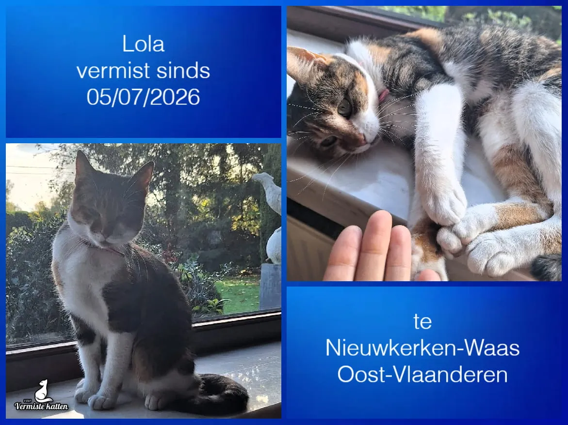 Lola