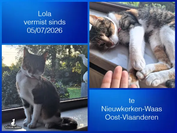 Lola