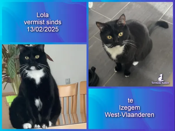 Lola