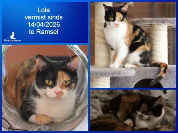 Lola