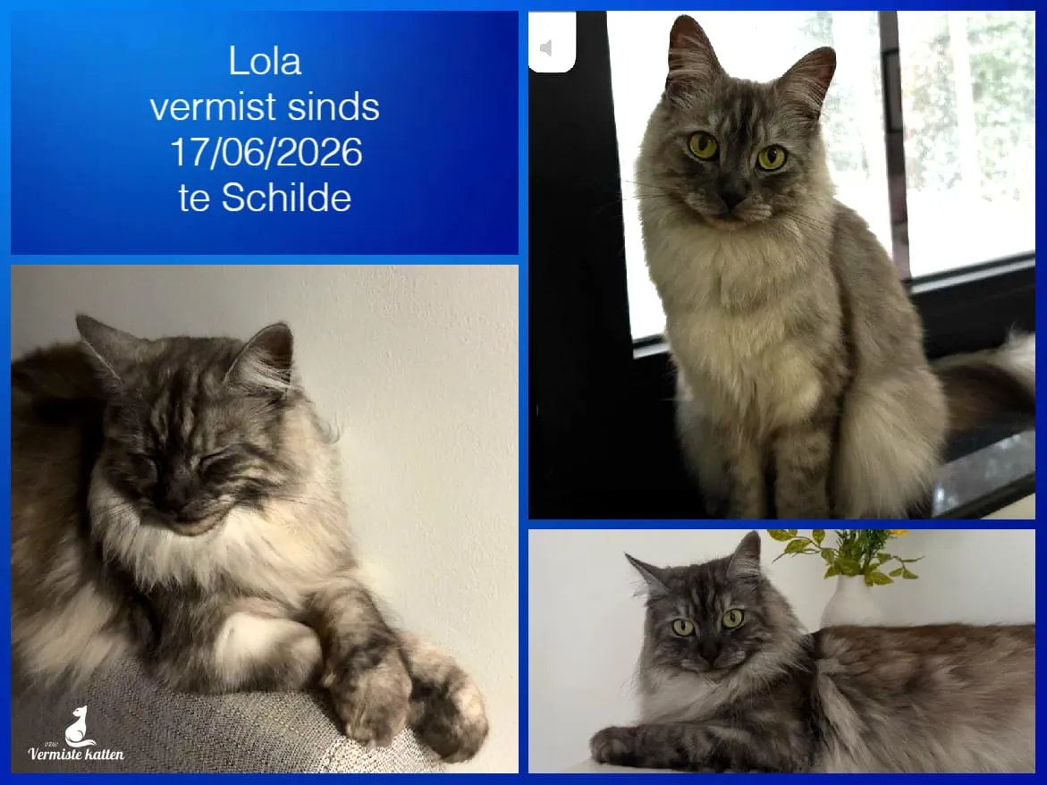 Lola