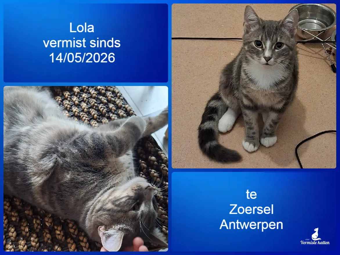 Lola