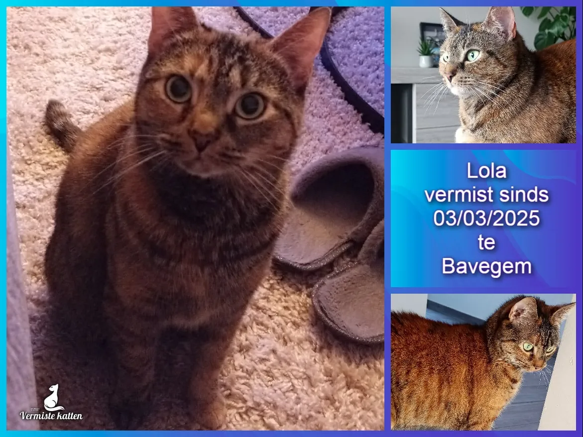 Lola