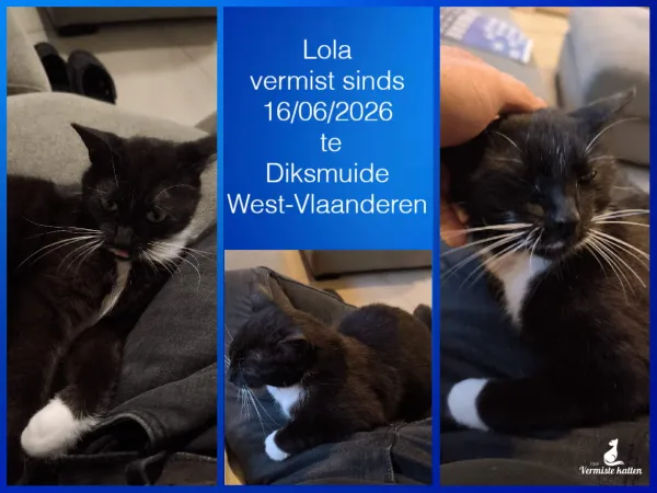lola