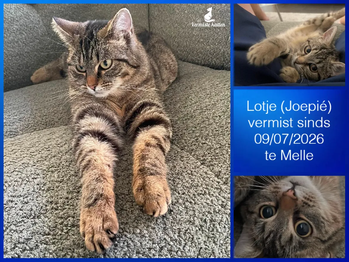 Lotje’ joepié