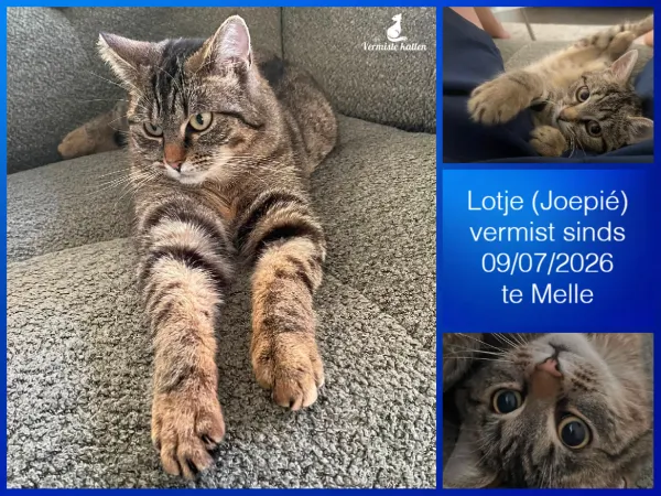 Lotje’ joepié