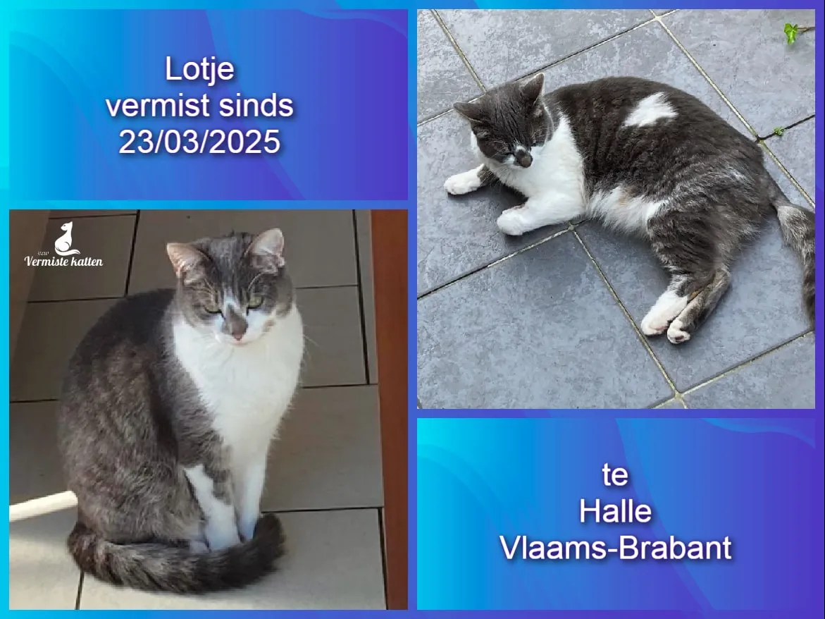 Lotje