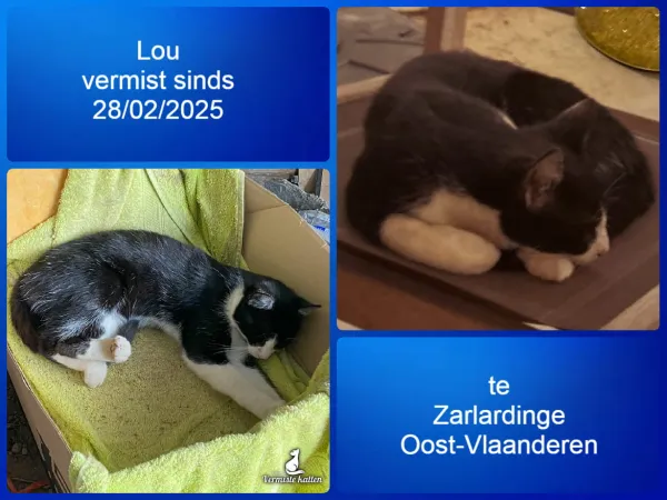 Lou