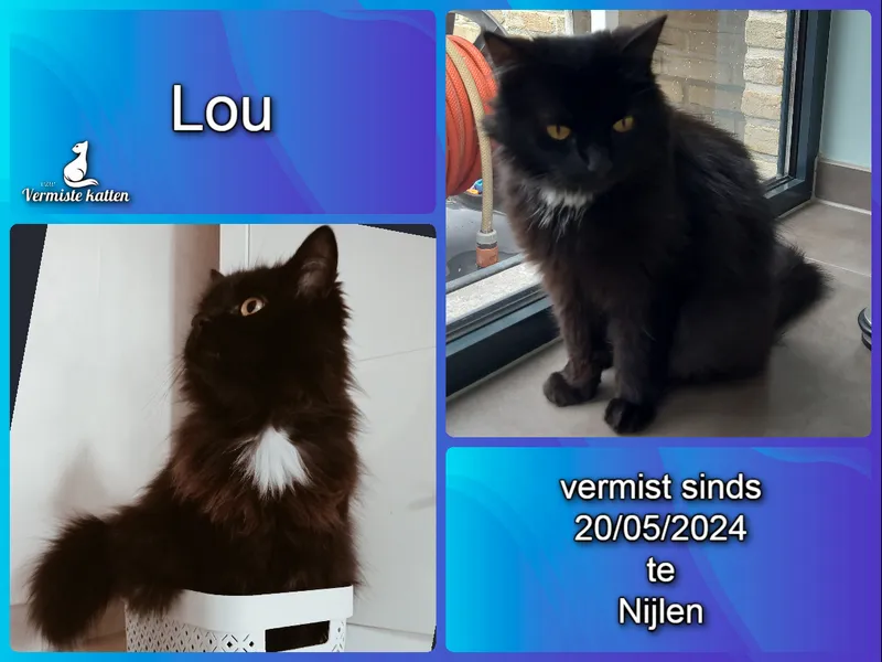Lou
