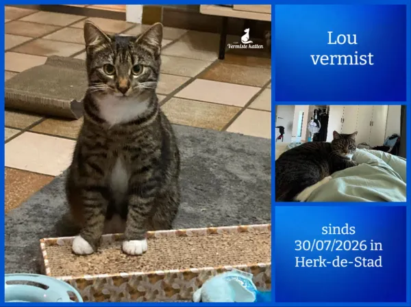 Lou