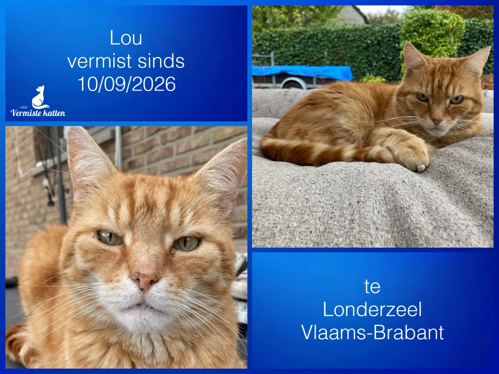 Lou