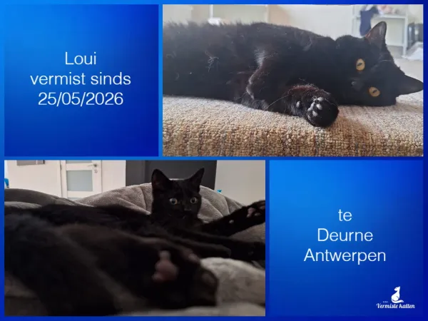 Loui
