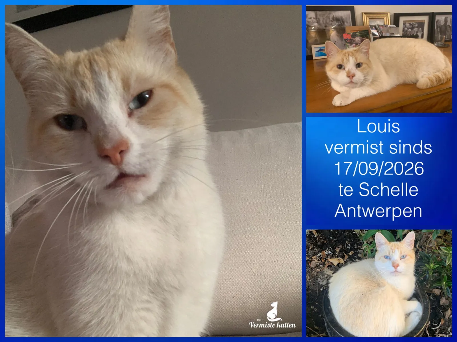 Louis