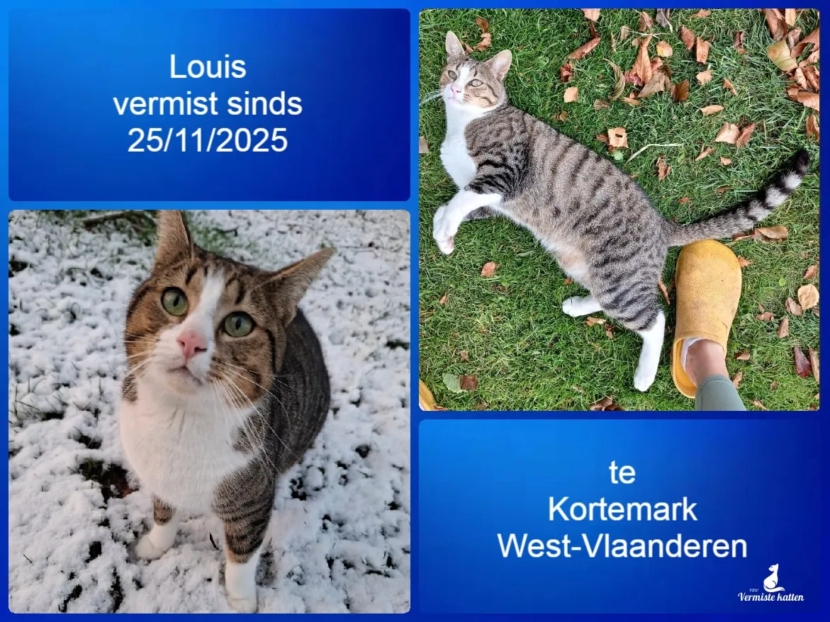 Louis