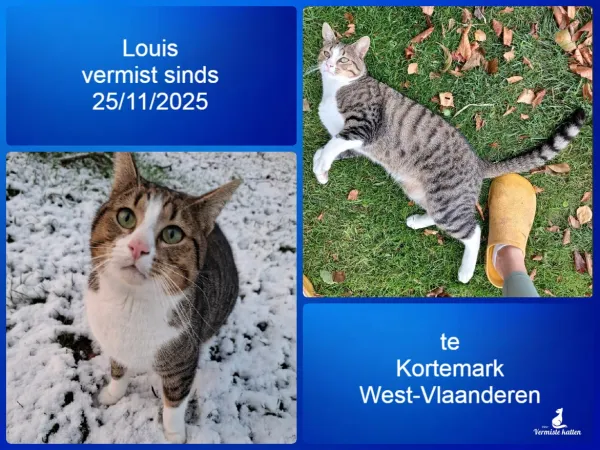 Louis