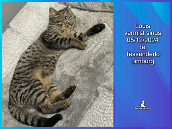 louis