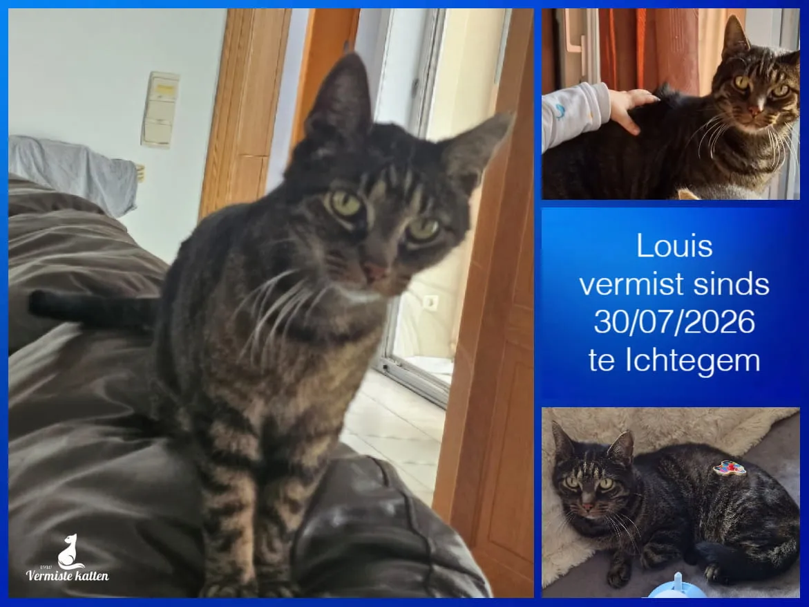 Louis