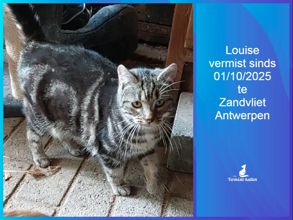 Louise