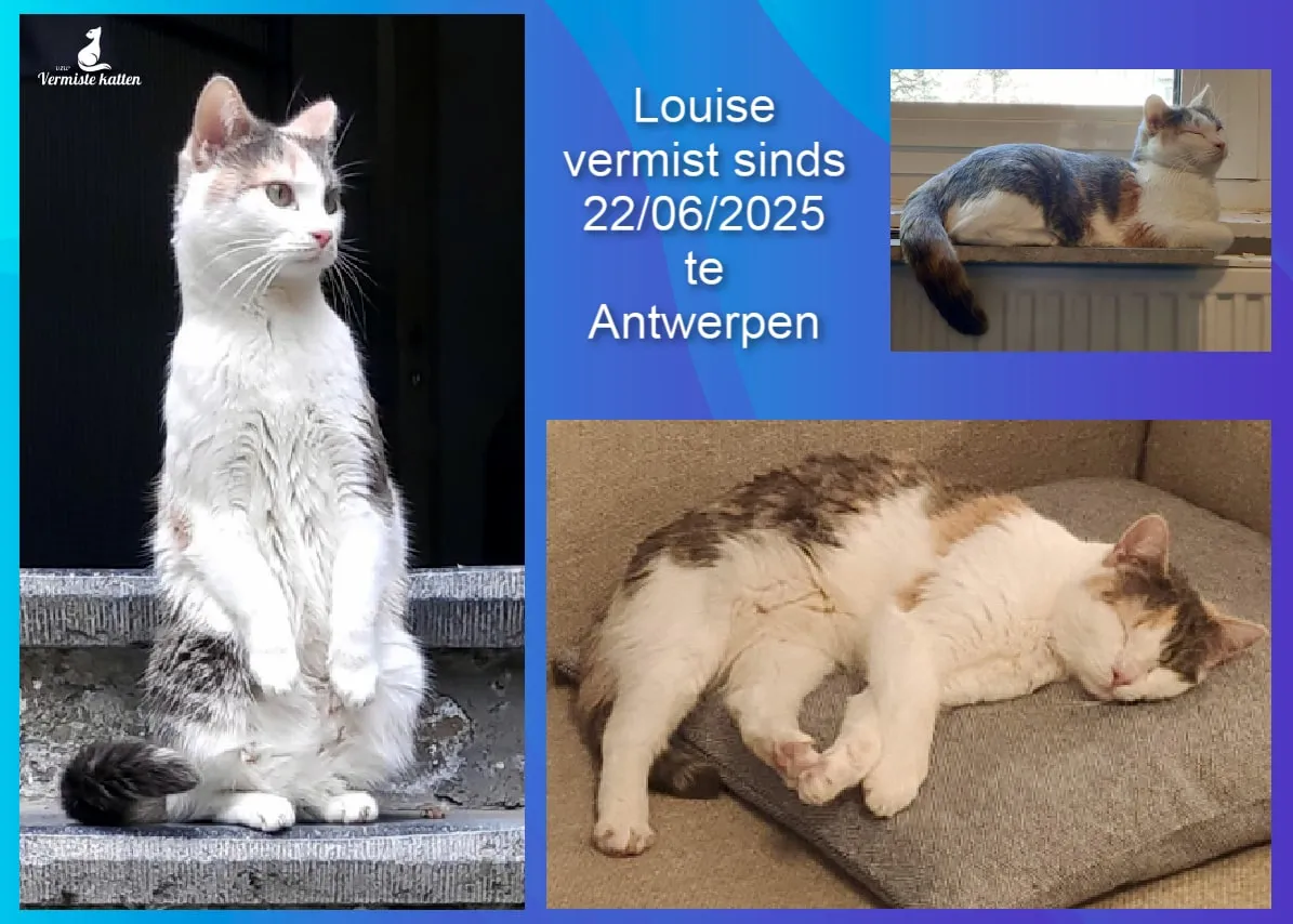 Louise