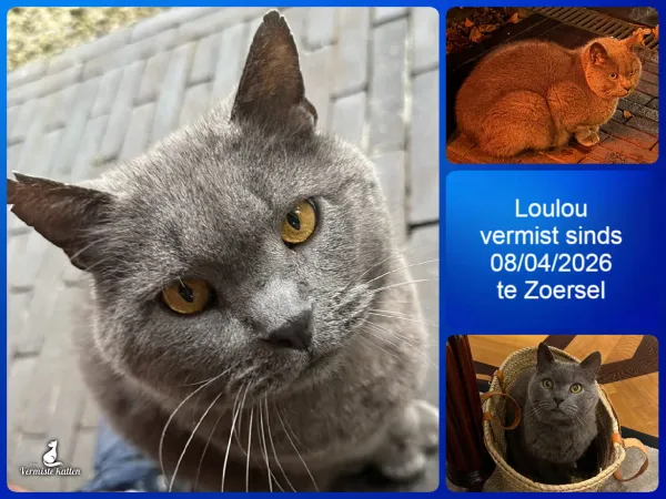 Loulou