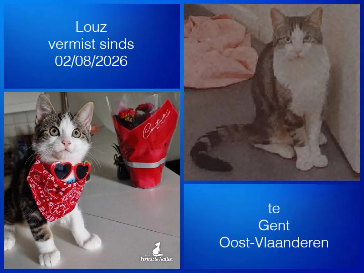 Louz