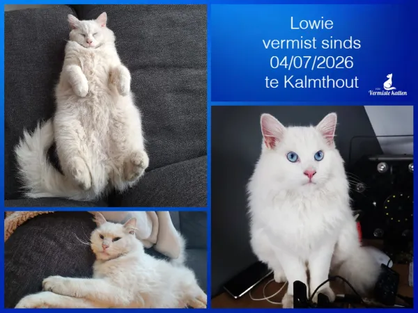 Lowie