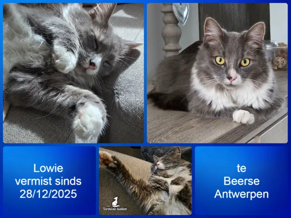 Lowie